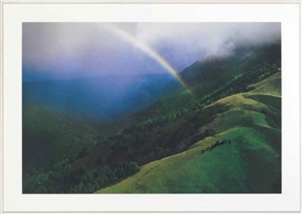 UNTITLED (COWBOY) by Richard Prince